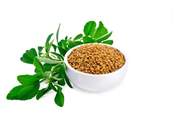 Fenugreek leaves spice powder